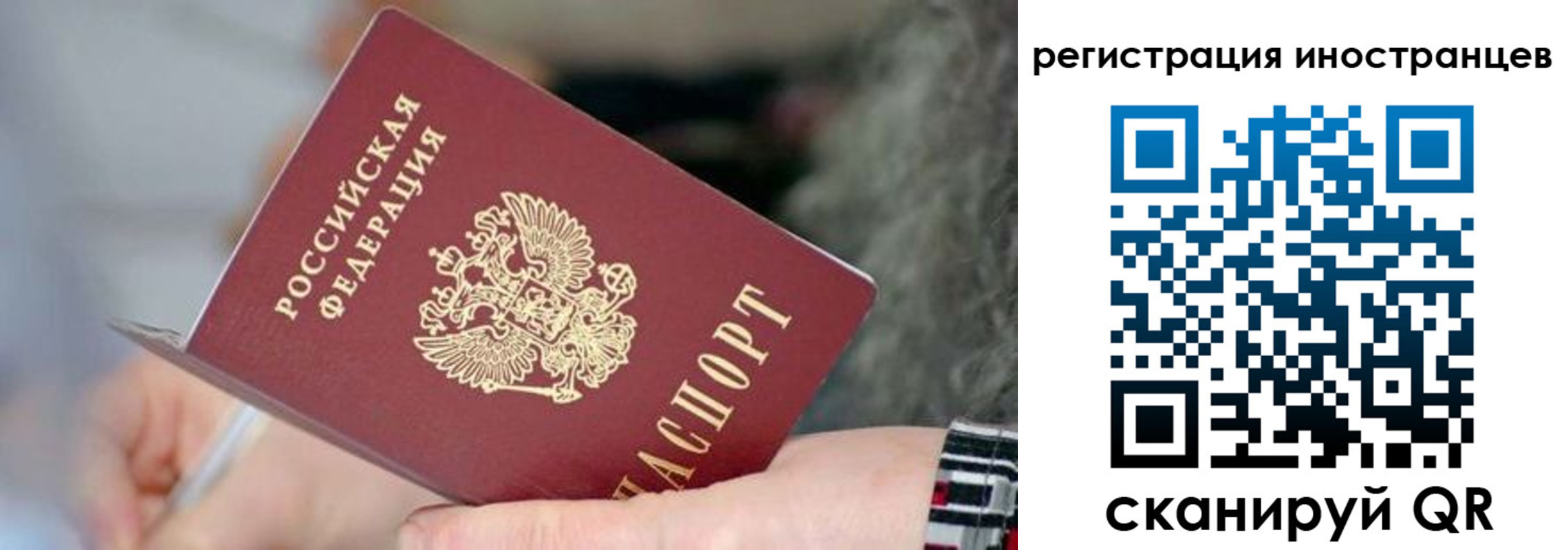 найти адрес прописки в Боровичах